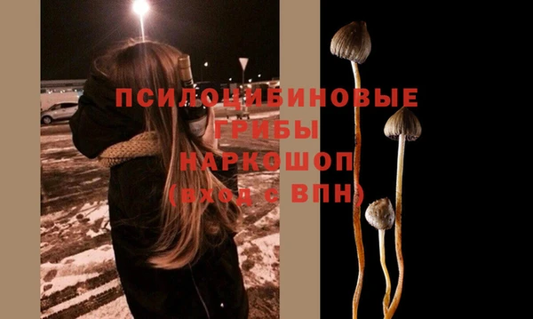 амф Алзамай