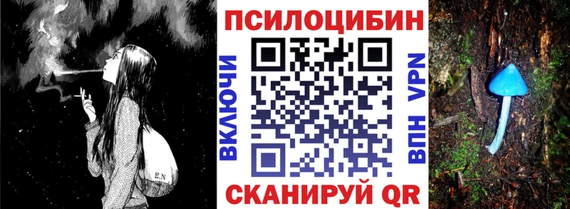 Псилоцибиновые грибы Psilocybine cubensis где купить наркотик Арск